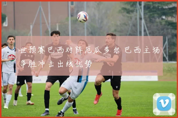 世预赛巴西对阵厄瓜多尔 巴西主场争胜冲击出线优势