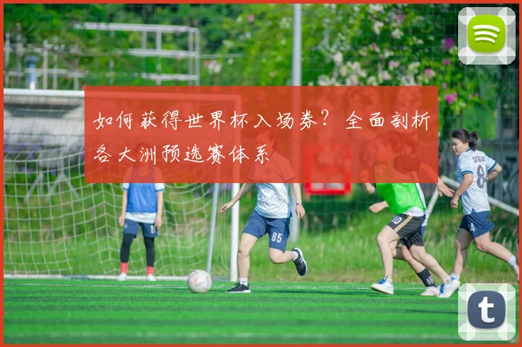 如何获得世界杯入场券？全面剖析各大洲预选赛体系