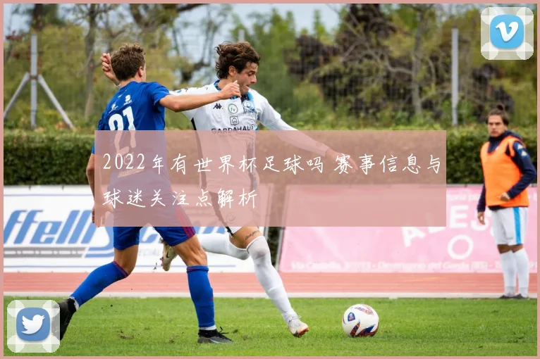 2022年有世界杯足球吗 赛事信息与球迷关注点解析