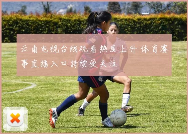 云南电视台线观看热度上升 体育赛事直播入口持续受关注
