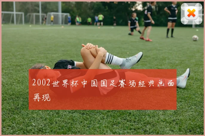 2002世界杯中国国足赛场经典画面再现