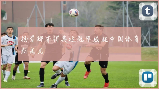 杨景辉夺得奥运冠军成就中国体育新高光