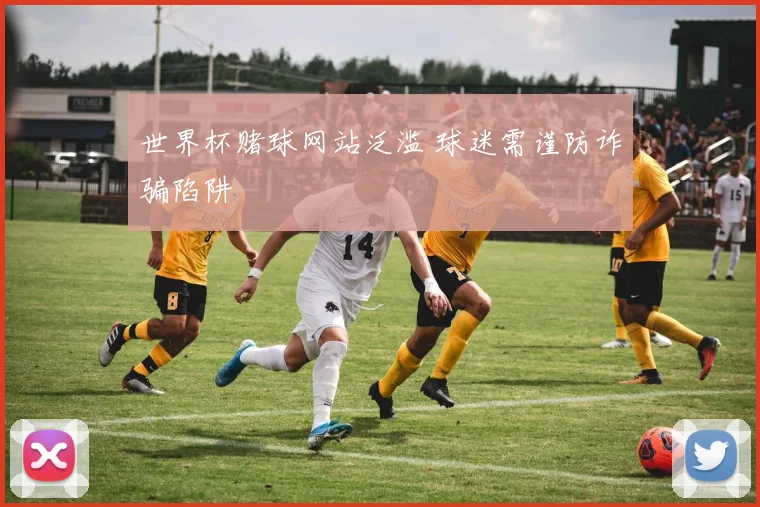 世界杯赌球网站泛滥 球迷需谨防诈骗陷阱
