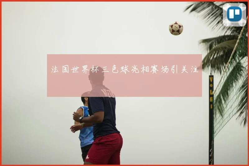 法国世界杯三色球亮相赛场引关注