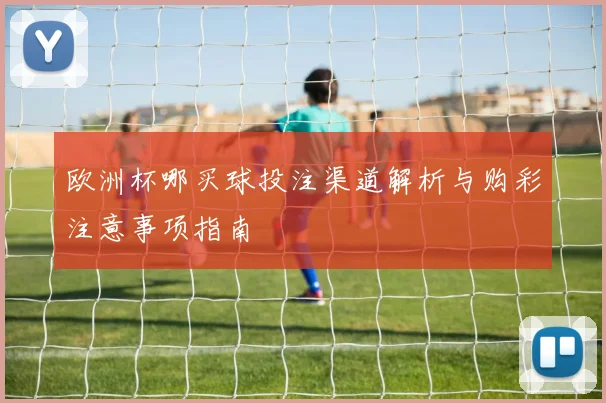欧洲杯哪买球投注渠道解析与购彩注意事项指南