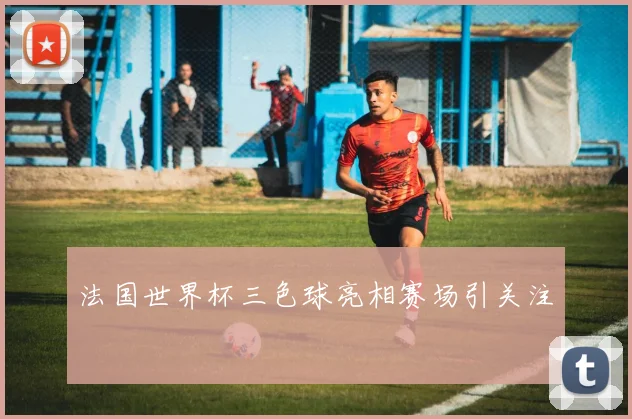 法国世界杯三色球亮相赛场引关注
