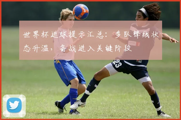 世界杯进球提示汇总：多队锋线状态升温，备战进入关键阶段