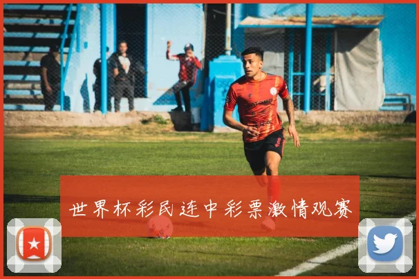 世界杯彩民连中彩票激情观赛