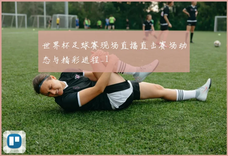 世界杯足球赛现场直播直击赛场动态与精彩进程_1
